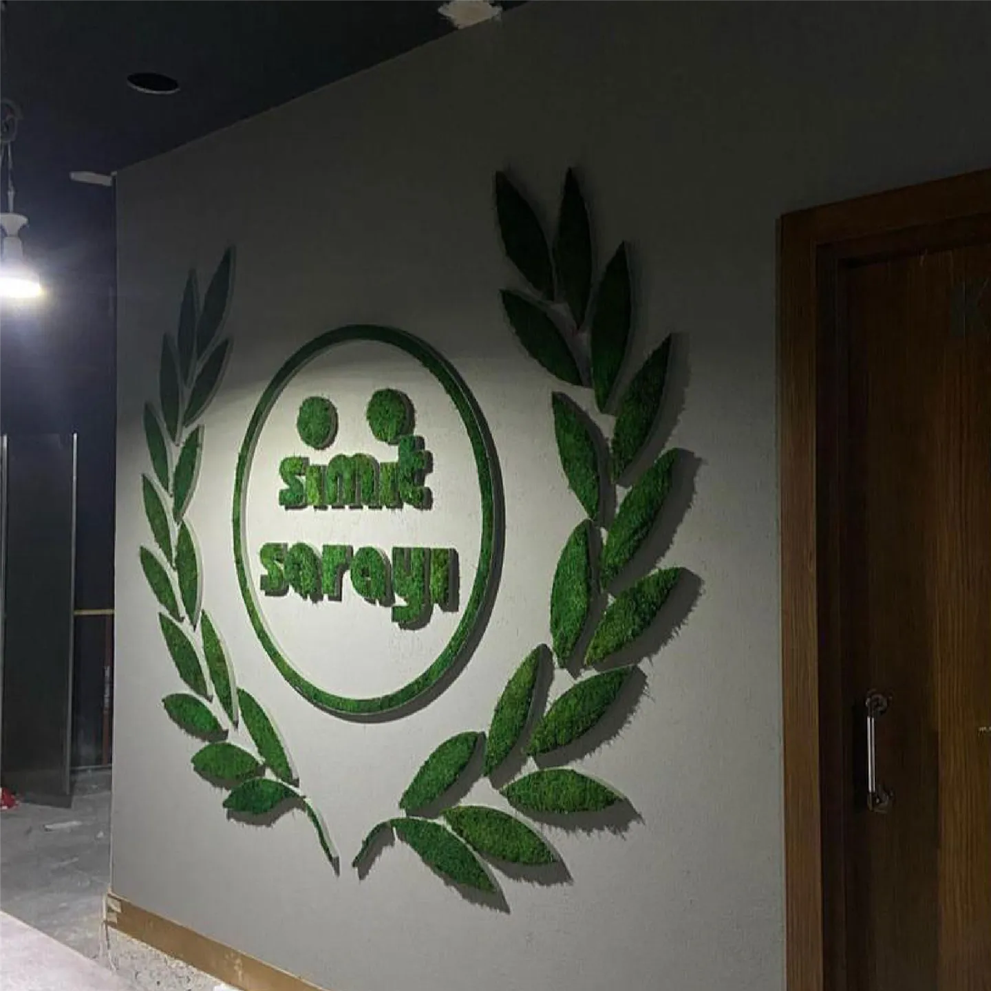 Alçı ve Boya Uygulamaları